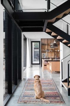 a dog sitting on a rug in the middle of a living room with stairs leading up to an open floor plan