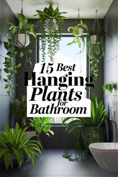 a bathroom with plants hanging from the ceiling