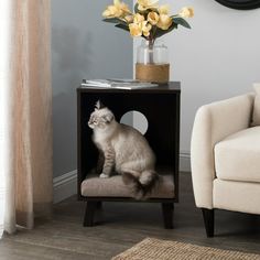 a cat sitting on top of a small cabinet in a living room next to a couch