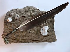 a piece of wood with a feather and some shells on it next to a white wall