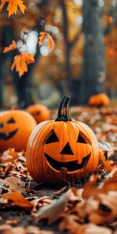 two jack o lantern pumpkins sitting in the leaves