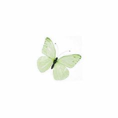 a green butterfly flying through the air