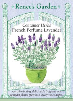 a green pot filled with lavender flowers on top of a white tablecloth next to an ornate frame