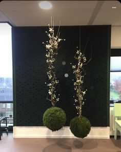 two vases with plants in front of a wall