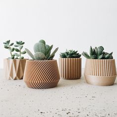 three different types of succulents in wooden vases on a white surface