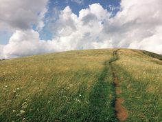 a grassy hill with a dirt path going up it's side in the distance