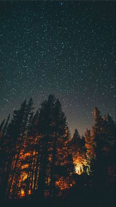 the night sky is filled with stars and trees