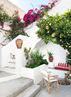 an outdoor area with stairs, potted plants and flowers