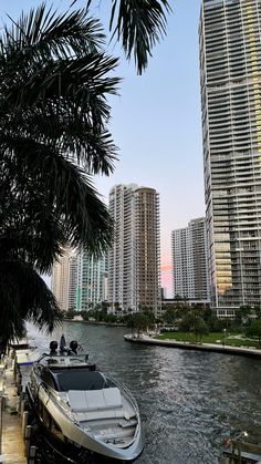 a boat is docked in the water next to some tall buildings and palm tree branches