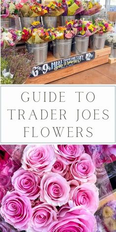 Discover a blooming paradise with our Guide to Trader Joe's Flowers! Explore the best floral, get insider tips on the top picks, and a list of seasonal flowers. Elevate your space with seasonal blooms and find inspiration for Trader Joe's floral decor ideas. From stunning varieties to budget-friendly options, dive into the world of Trader Joe's flowers and let your creativity blossom! Pro tips for wedding florals, pet friendly flowers and more at Trader Joes. Floral Decor Ideas, Easy Diy Decor, Decorating Diy, Diy Wedding Bouquet, Flower Arrangements Diy, Gerbera Daisy, Seasonal Flowers, Trader Joe's, Wedding Florals