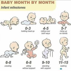 the baby month by month chart shows how many infants are born to their parents