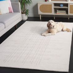 a dog laying on top of a white rug