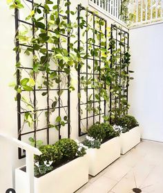 three white planters with green plants growing on the side of a wall next to stairs