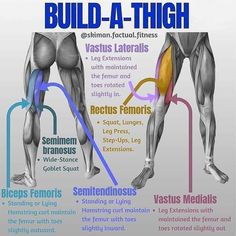 an image of the muscles and their functions in bodybuilding, with text describing how to build - a - thigh