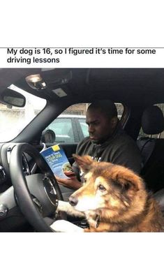 a man sitting in the driver's seat of a car with his dog