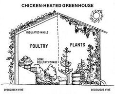 the diagram shows how to build a chicken - heated greenhouse for poultrys and plants