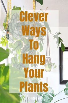 the words clever ways to hang your plants