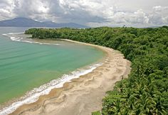 an aerial view of the beach and ocean with palm trees in the foreground, on a cloudy day