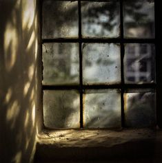 the shadow of a tree is cast on an old window