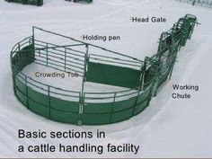 an image of a cattle pen in the snow with instructions on how to build it