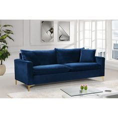 a blue couch sitting in front of a window next to a coffee table and potted plant