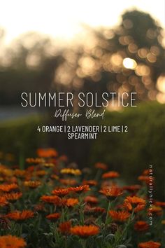 Summer Diffuser Blends, Essential Oil Mixtures, Diffuser Oils, Orange Lavender