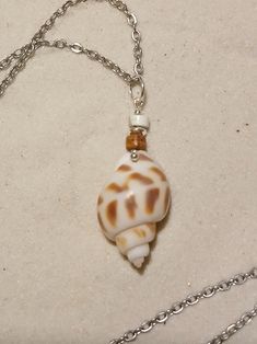 a white and brown shell on a silver chain