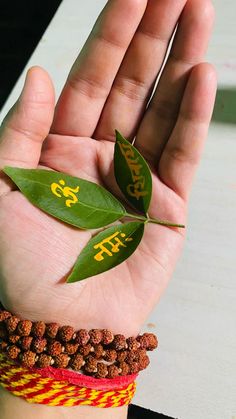 a person's hand holding two green leaves on top of their wristbands