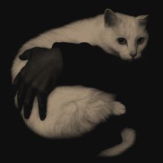 a black and white photo of a cat with one hand on the back of it