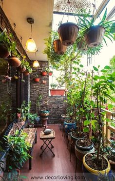 an outdoor patio with lots of potted plants on the wall and wooden flooring