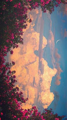 the reflection of clouds and trees in water with pink flowers on it's sides