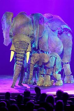 two elephants standing next to each other on a stage