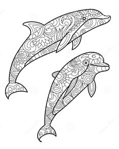 two dolphins with patterns on the body