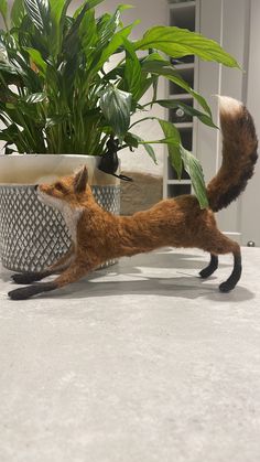 Needle felted fox approximately 8 1/2 inches long from the base of his tail to the nose.  Wire armature so the pose can be altered. Fox Sitting, Felted Fox, Needle Felted Fox, Felted Crochet, Wire Armature, Felt Fox, Snow Owl, Felting Ideas, Wool Felting