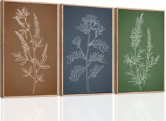 PRICES MAY VARY. Vintage Botanical Wall Art：24*36 inches, set of 3.This set of minimalist floral wall art depicts the flowers in three different forms through watercolor techniques. This simple and quiet feeling will help you get rid of fatigue. High-quality Canvas Painting：Vintage minimalist botanical paintings are printed on high-quality canvas, and the best anti-fading ink is used, which will not fade with time. It is stretched tightly on the wooden frame to ensure that the canvas is stretche Minimalist Plants, Plants Art, Wall Decor Minimalist, Flower Canvas Wall Art, Farmhouse Living Room, Vintage Botanical Prints, Minimalist Wall Decor, Botanical Painting, Large Wall Decor