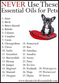 a black and white dog sitting on top of a red pillow with the words essential oils for pets