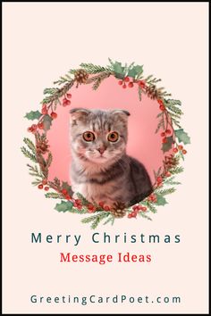 Merry Christmas Message Ideas for the Holiday Season Ideas For Cards, Message Ideas, Happy Holidays Wishes, Christmas Card Messages, Merry Christmas Message, Card Messages, Christmas Message, Christmas Messages