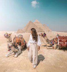 a woman standing in the desert next to some camels