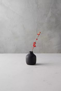 a black vase with red flowers in it on a white countertop next to a gray wall