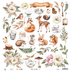 an illustration of various animals and flowers on a white background