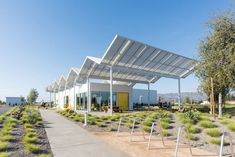 an empty building with lots of plants and trees