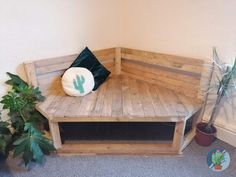 a wooden bench sitting next to a potted plant on top of a carpeted floor