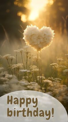 a happy birthday card with dandelions and the sun shining through the clouds in the background