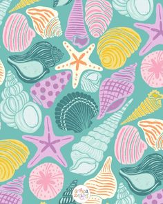 colorful seashells and starfish on blue background