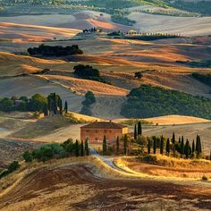 the rolling hills and fields are dotted with trees