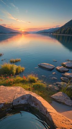 a hot tub sitting on top of a lush green field next to a lake at sunset