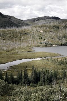 a lake surrounded by trees and grass in the middle of a mountain range with mountains in the background