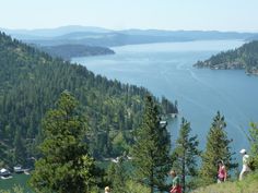 some people are standing on the side of a hill looking out at water and trees