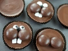 there are chocolate cupcakes decorated to look like a dog's face and nose