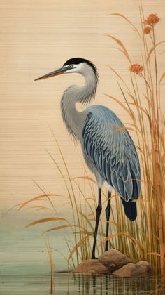 a painting of a blue heron standing in the water with reeds and grasses around it